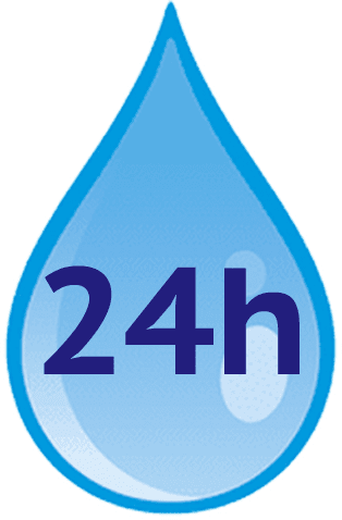 gota24h