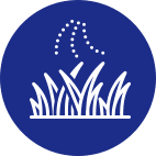 servico05